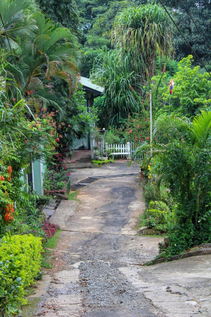 New Nethmi Villa Kandy Exterior photo